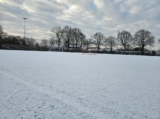 Sneeuwlaag bedekt sportpark 'Het Springer' (22/37)